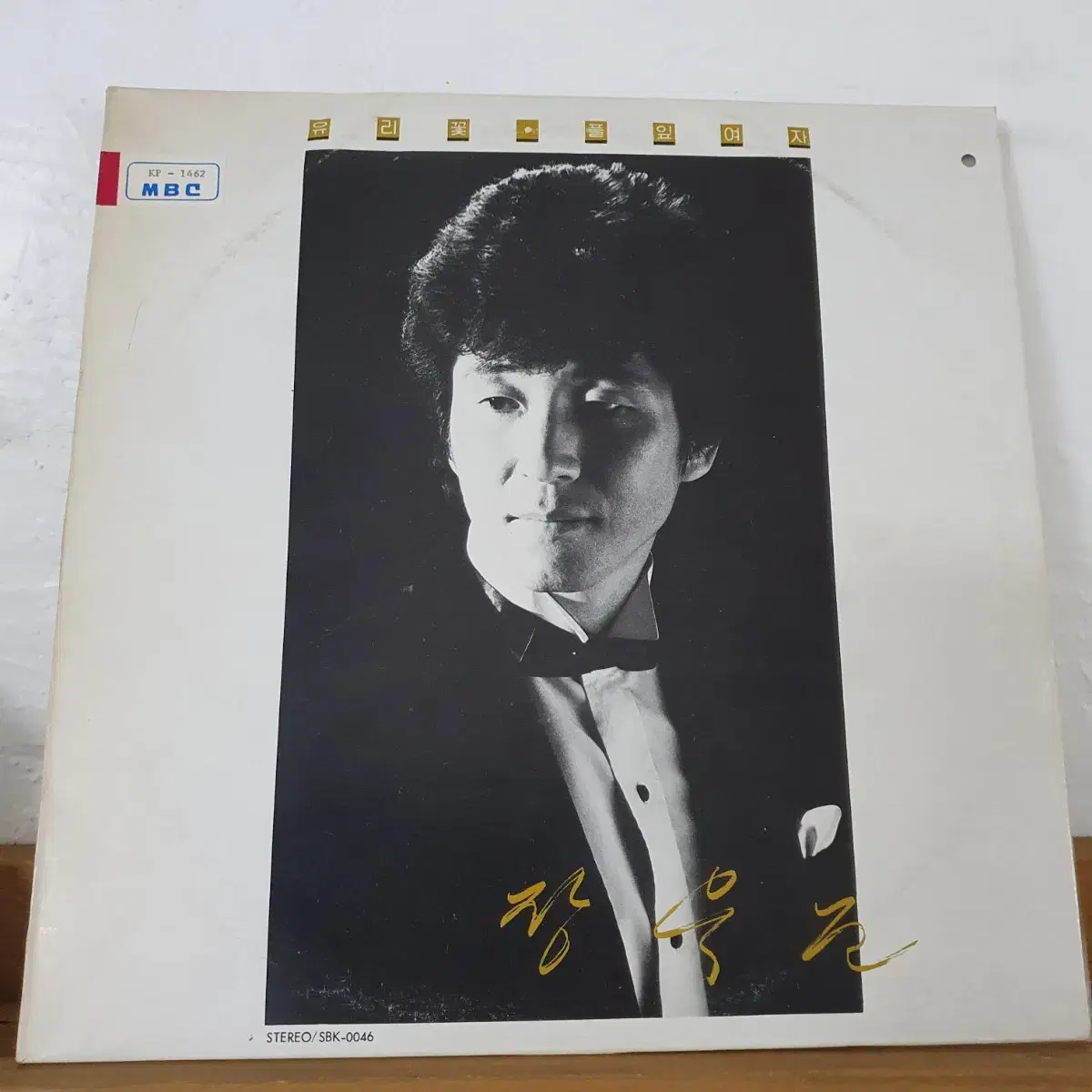 장욱조 LP  1985   유리꽃   풀잎여자   고목나무