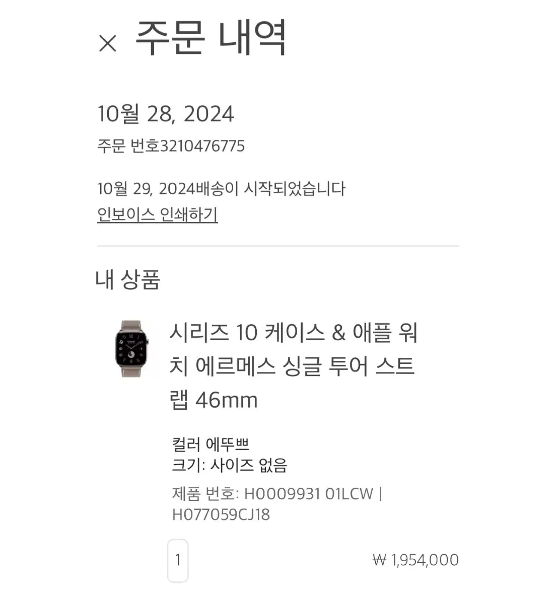 애플워치10 에르메스 46mm