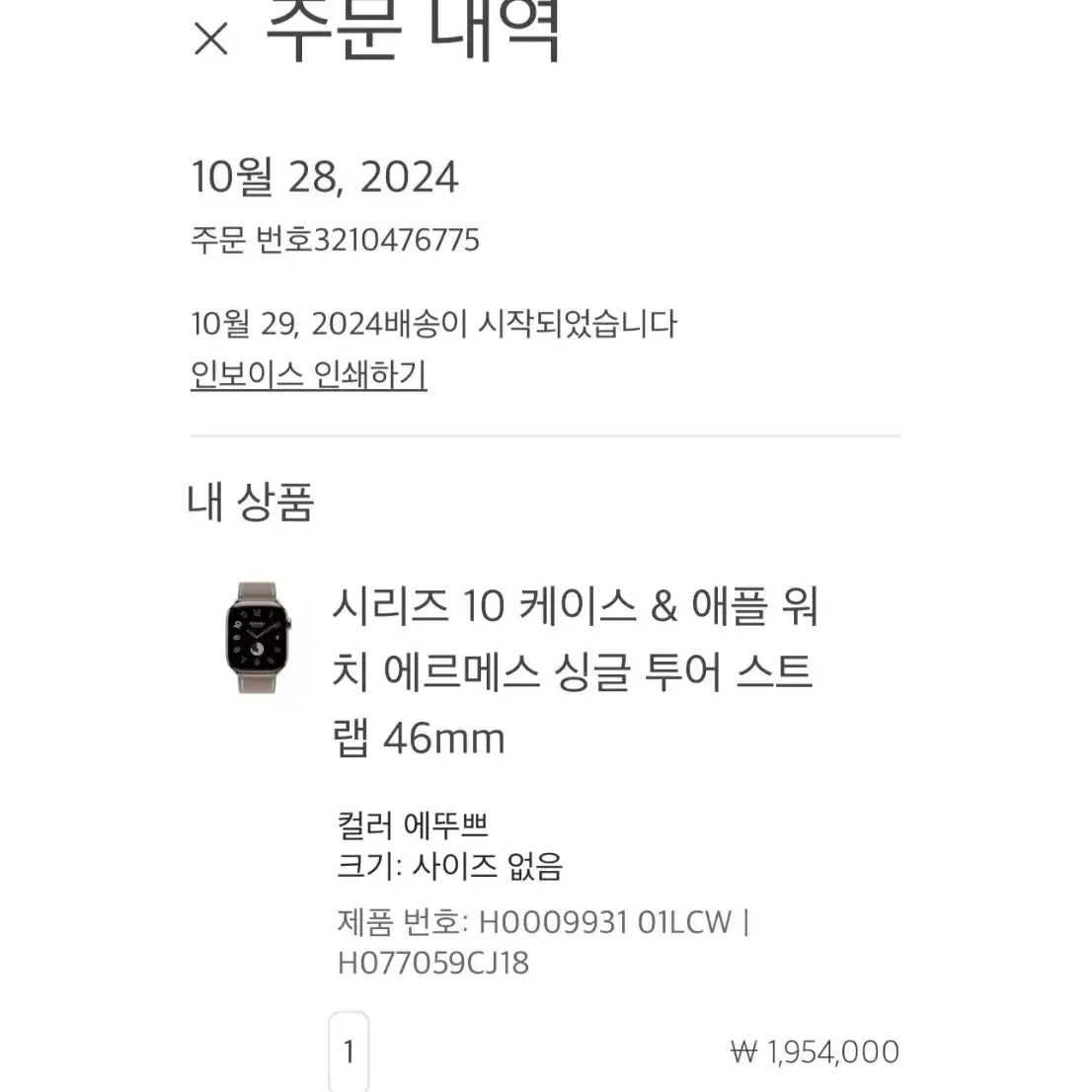 애플워치10 에르메스 46mm