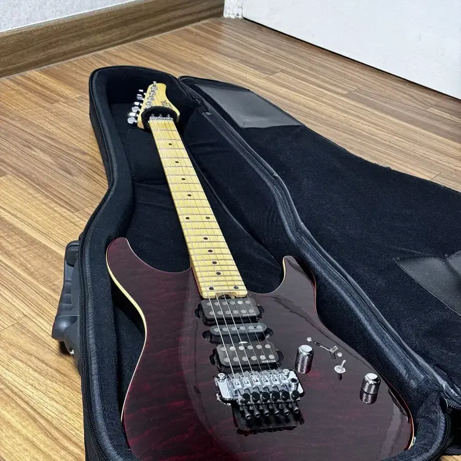 쉑터 schecter NV3-24 13년식 팝니다