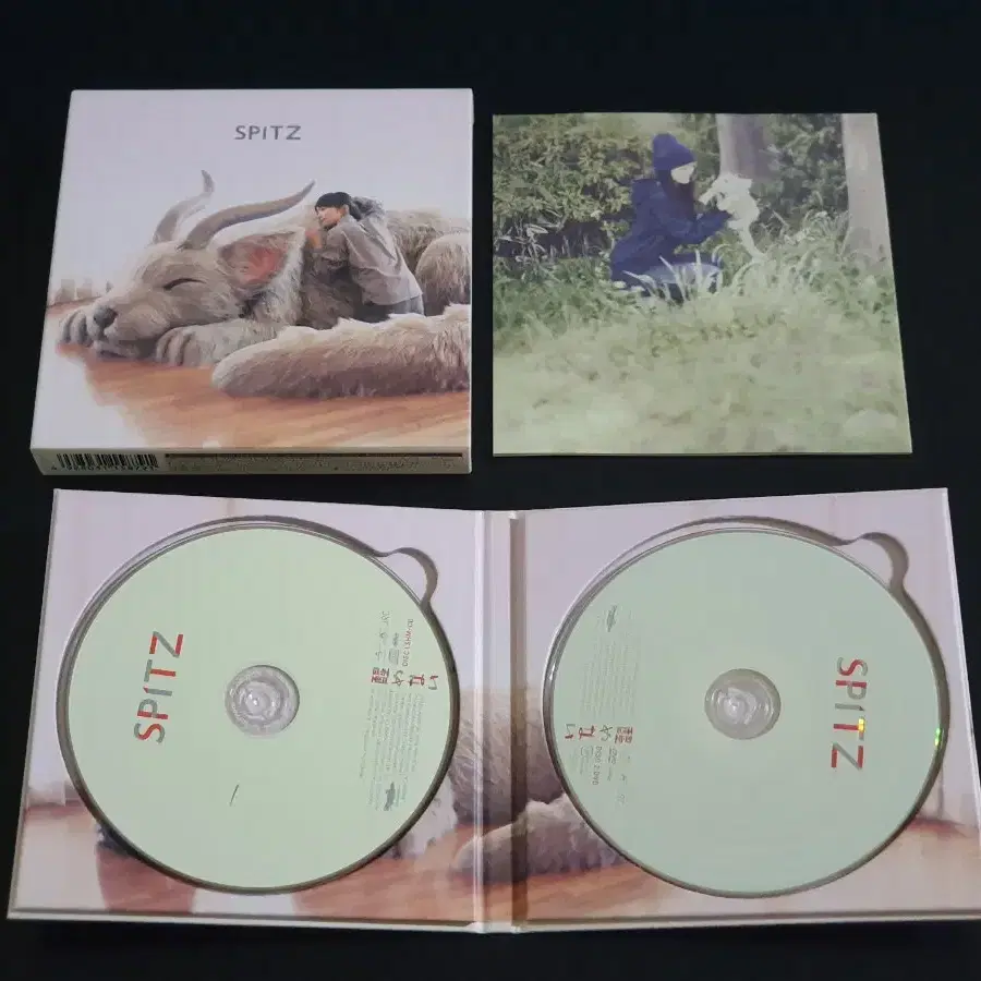 Spitz 스핏츠 15집 앨범 사메나이 (CD+DVD) 한정반 스피츠