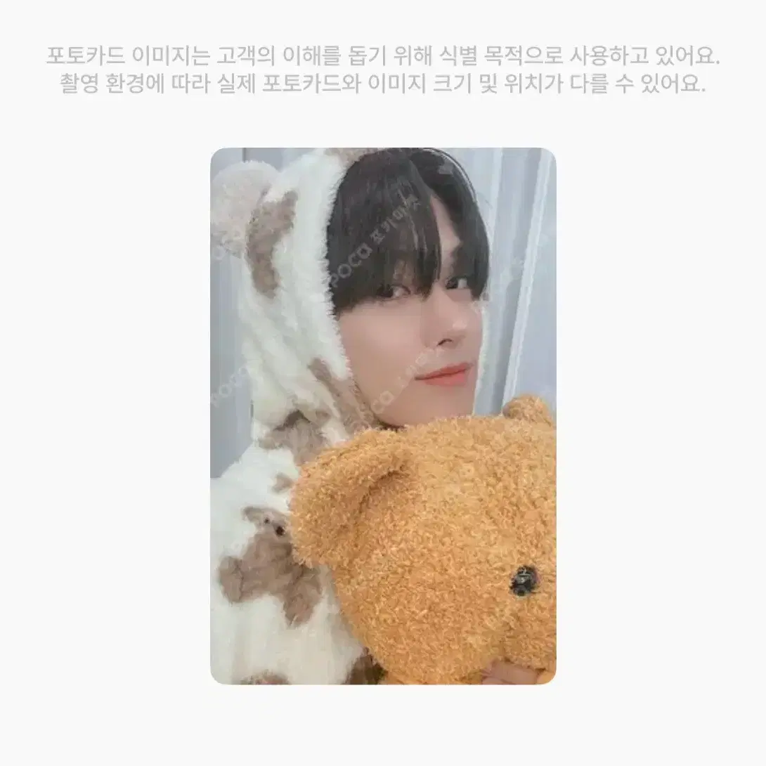 더보이즈 주연 곰돌이포카