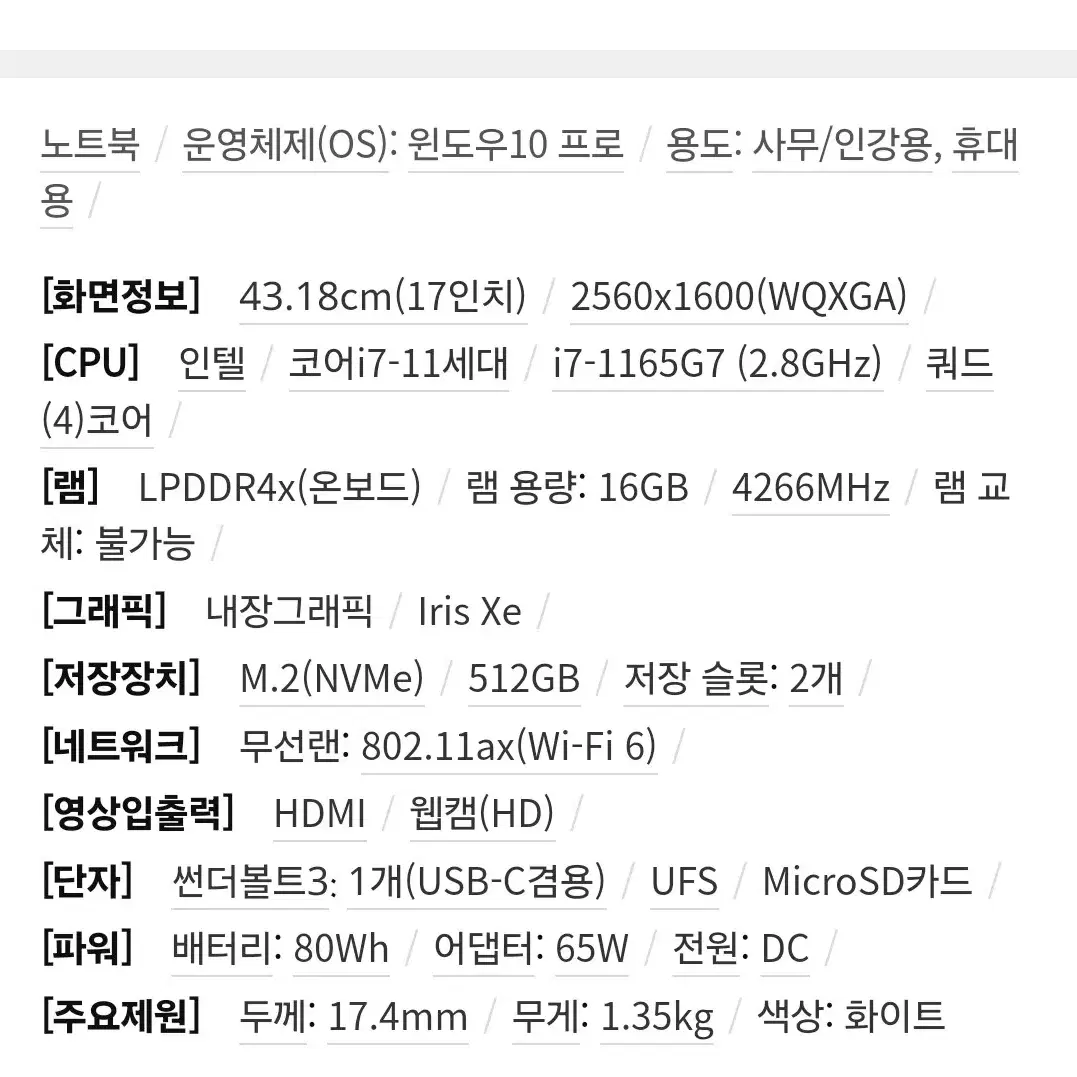 LG전자 2021 그램 17인치 17Z95N-GP79ML