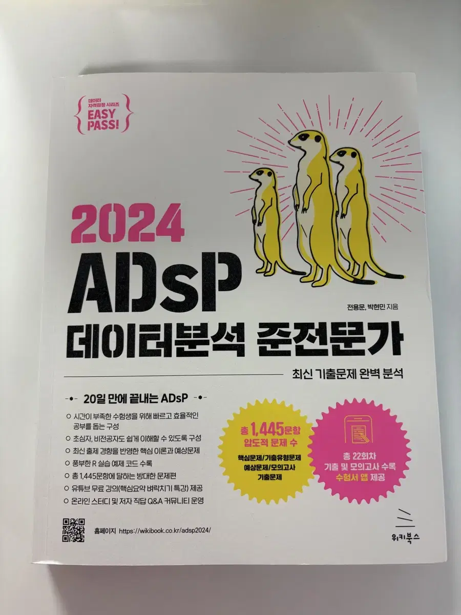 ADsP 이지패스 교재