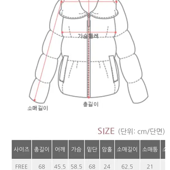 베니토 마르셰 폭스퍼 숏패딩 크림