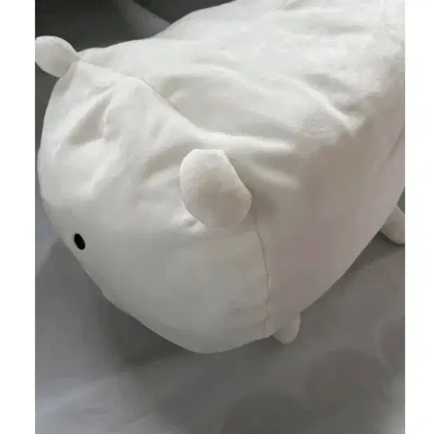 농담곰 일본 모찌쿠션