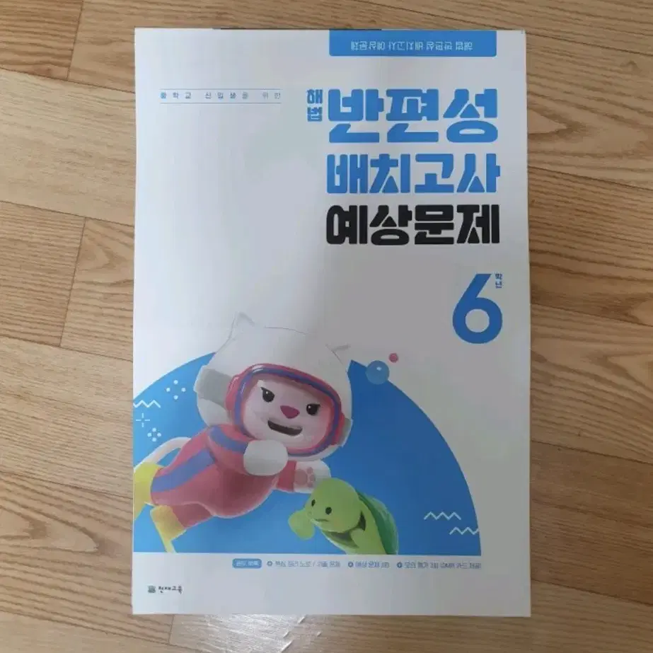 해법 반편성 배치고사 반배치고사 예상문제 초등학교 6학년 새상품