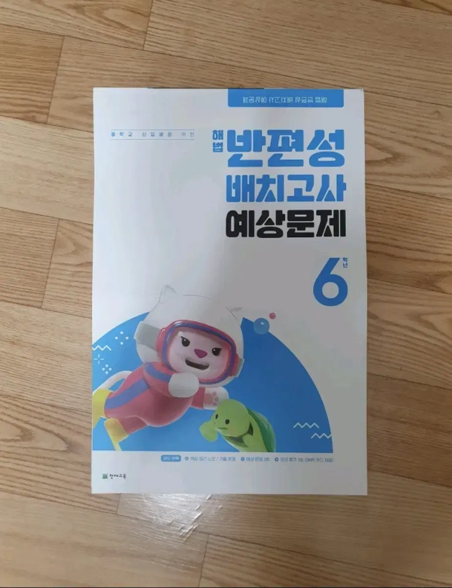 해법 반편성 배치고사 반배치고사 예상문제 초등학교 6학년 새상품