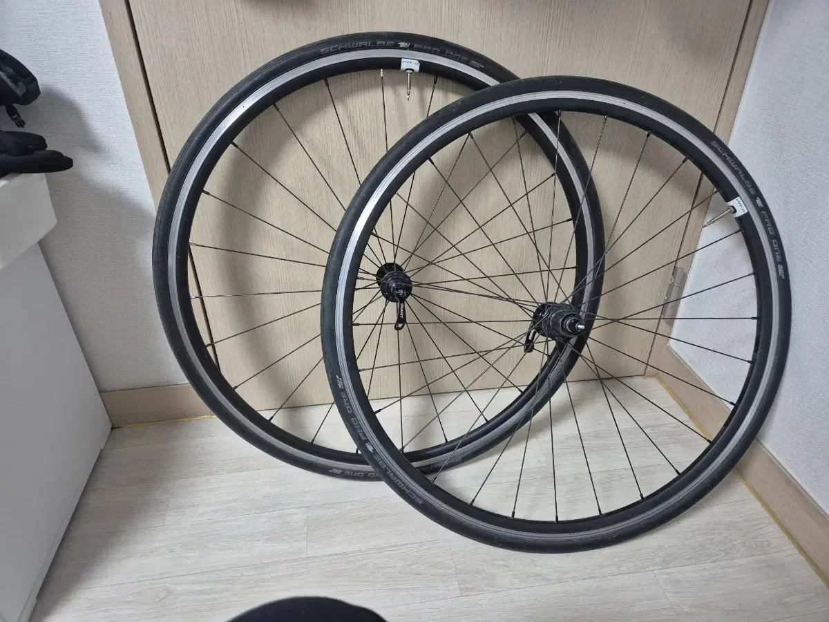 Giant PR2 Road Wheelset (Panwan)