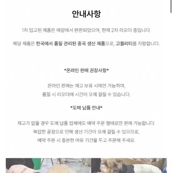 새상품 강아지 도그페이스 패딩XL 아이보리