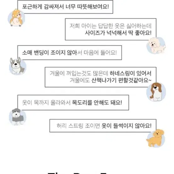 새상품 강아지 도그페이스 패딩XL 아이보리