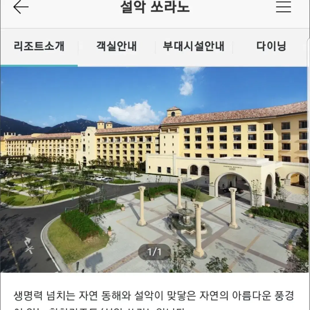 12월24,25일 한화리조트 평창 애견룸,설악속초,산정호수,용인 뽀로로룸