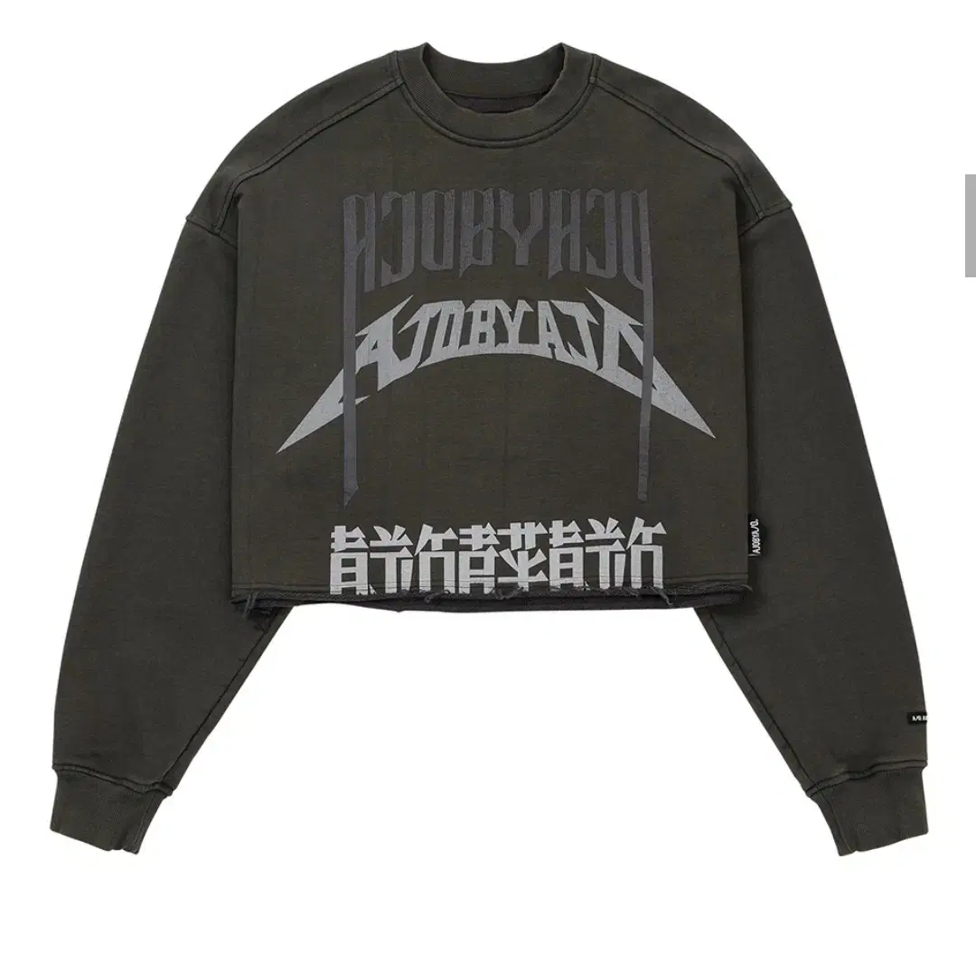 Arch Logo Cropped Sweatshirt [CHARCOAL]