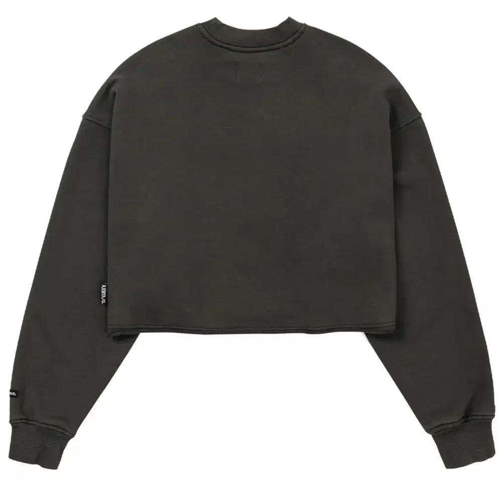 Arch Logo Cropped Sweatshirt [CHARCOAL]