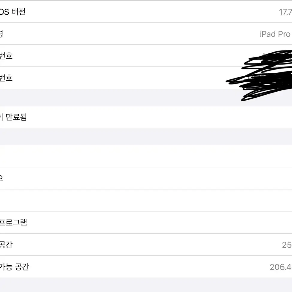아이패드 프로 10.5 256기가