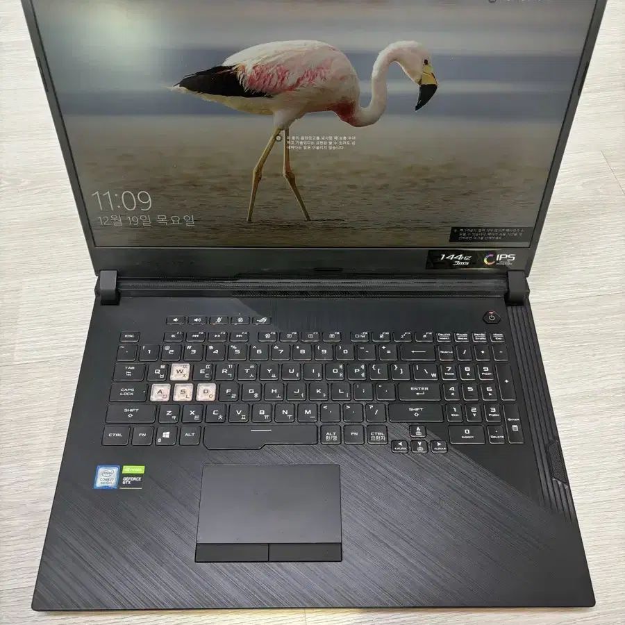 ASUS 아수스 게이밍 노트북 G731G