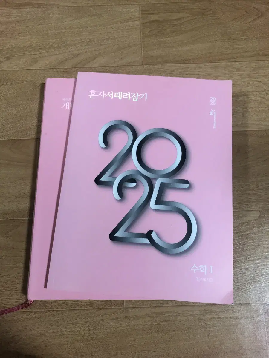 2025 개때잡 수1