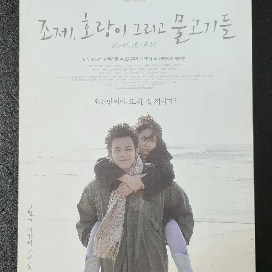 [영화팜플렛] 조제호랑이그리고물고기들 (2016)츠마부키사토시 영화전단지