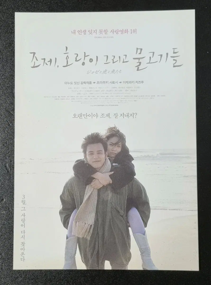 [영화팜플렛] 조제호랑이그리고물고기들 (2016)츠마부키사토시 영화전단지