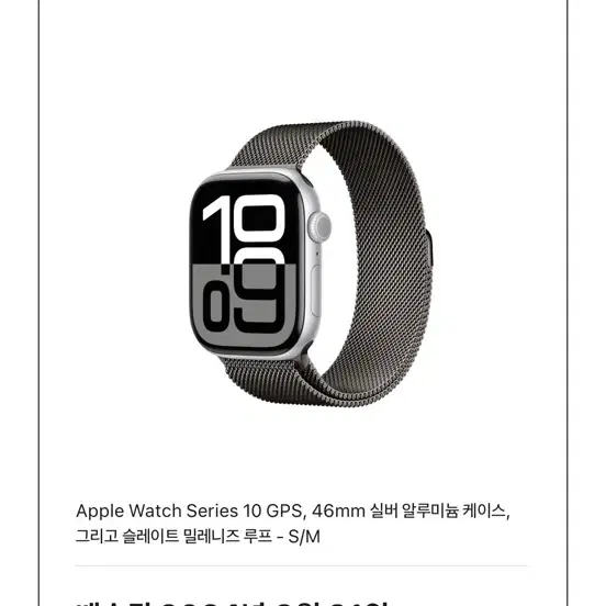 애플워치 10 46mm gps 밀레니즈 루프