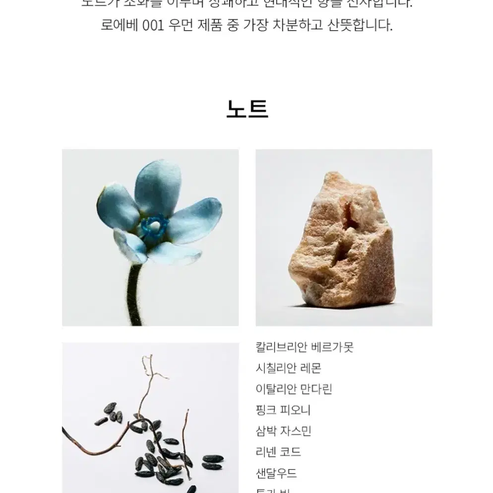 19일 마감/추후 수령)로에베 001 우먼 오드 퍼퓸 100ml