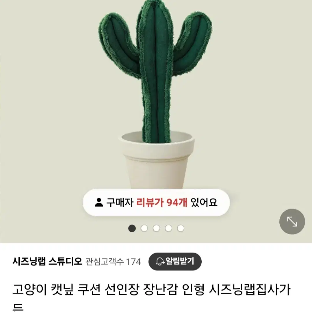 고양이 선인장 캣닢 쿠션 2개 / 시즈닝랩 쿠션