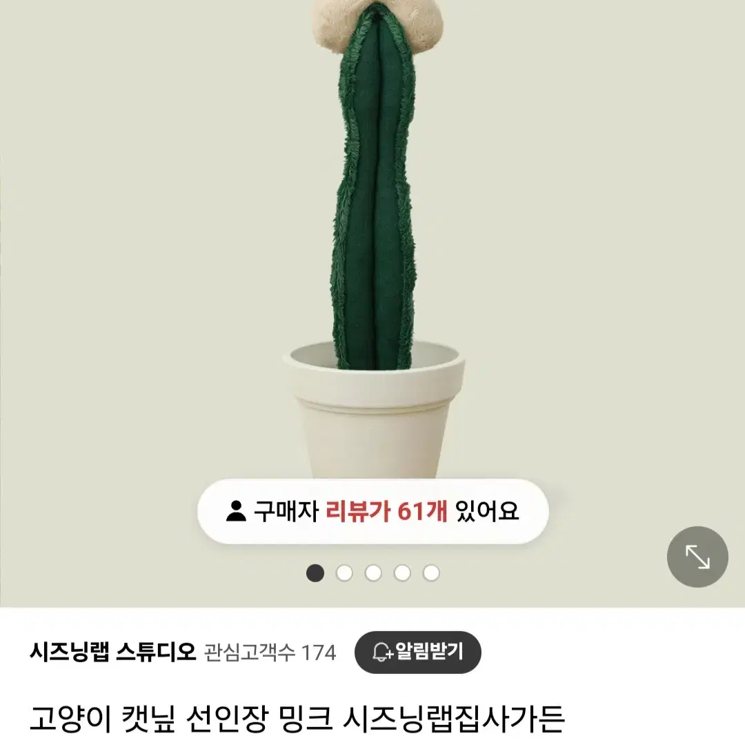 고양이 선인장 캣닢 쿠션 2개 / 시즈닝랩 쿠션