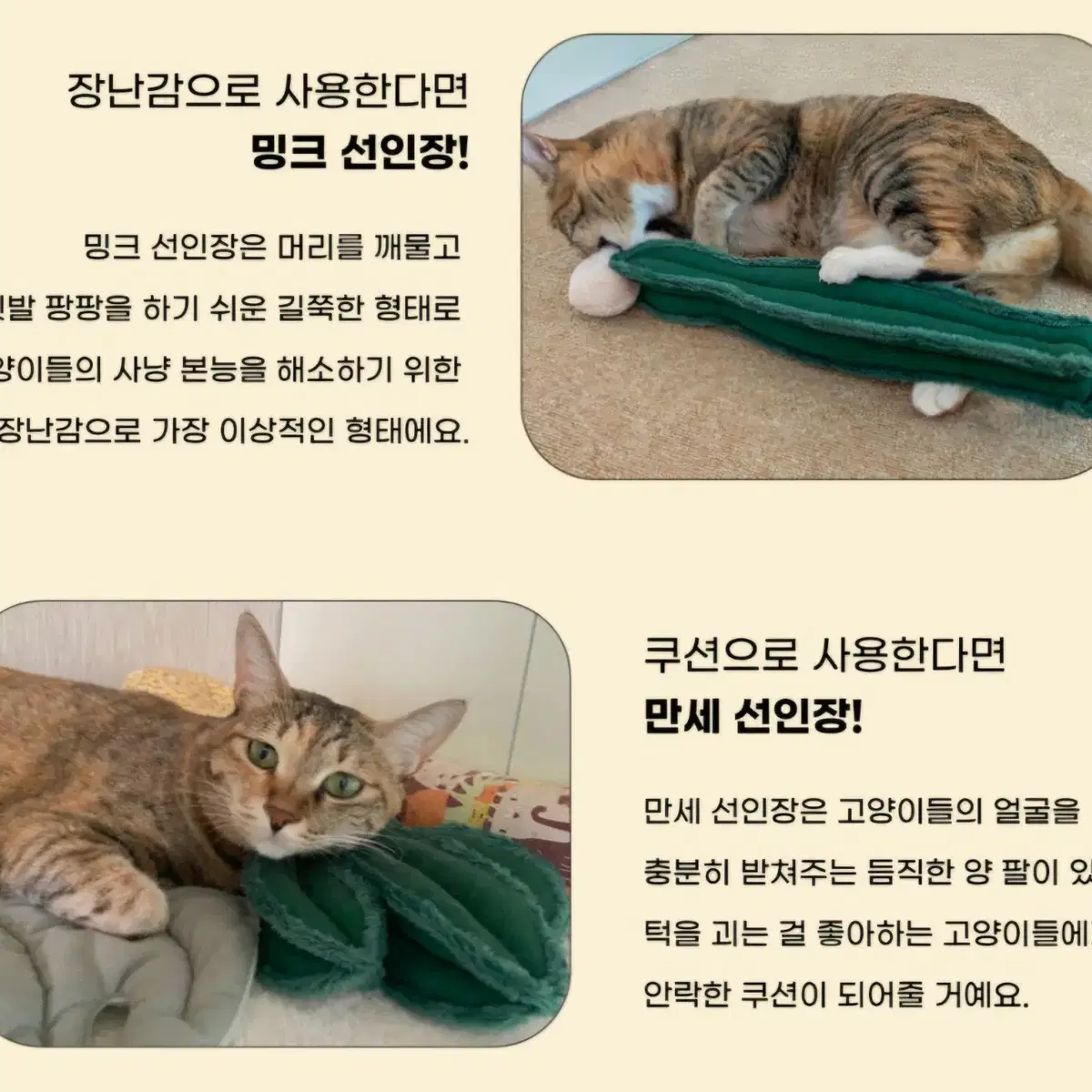 고양이 선인장 캣닢 쿠션 2개 / 시즈닝랩 쿠션