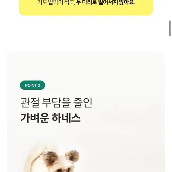 프로젝트21 강아지 리프팅 하네스