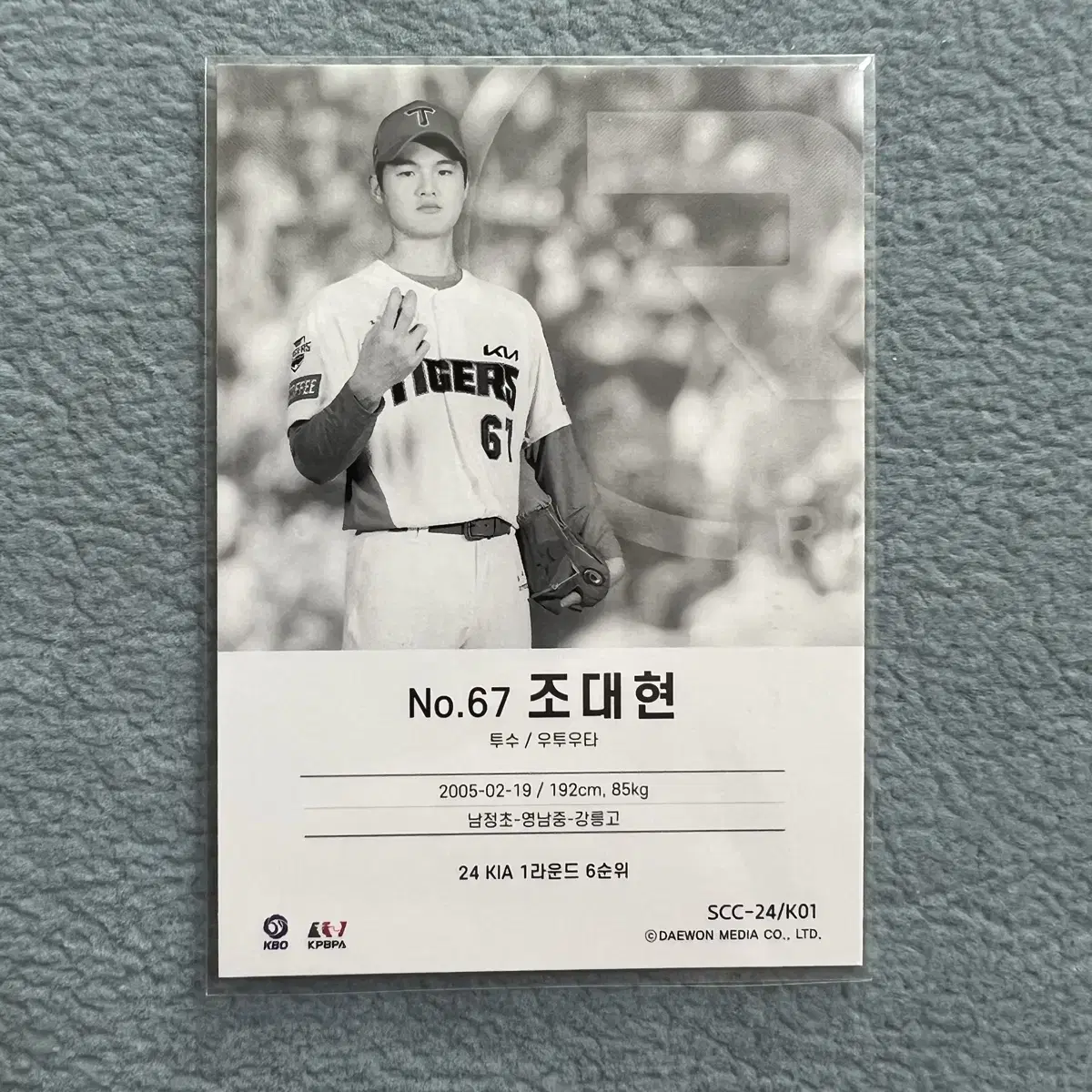 2024 kbo scc 레인보우 기아 조대현 루키 오토