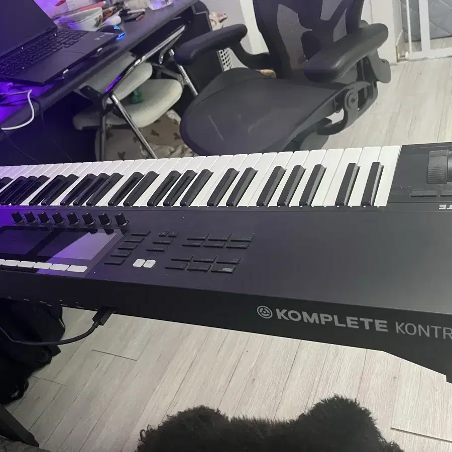 Ni komplete kontrol s61 극미중고