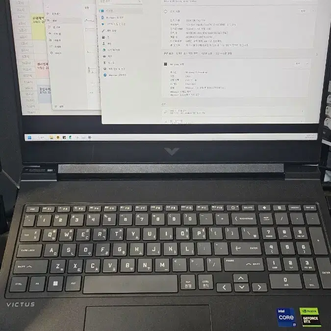 hp 빅터스 16(i7-13700HX, 16gb, RTX 4060)