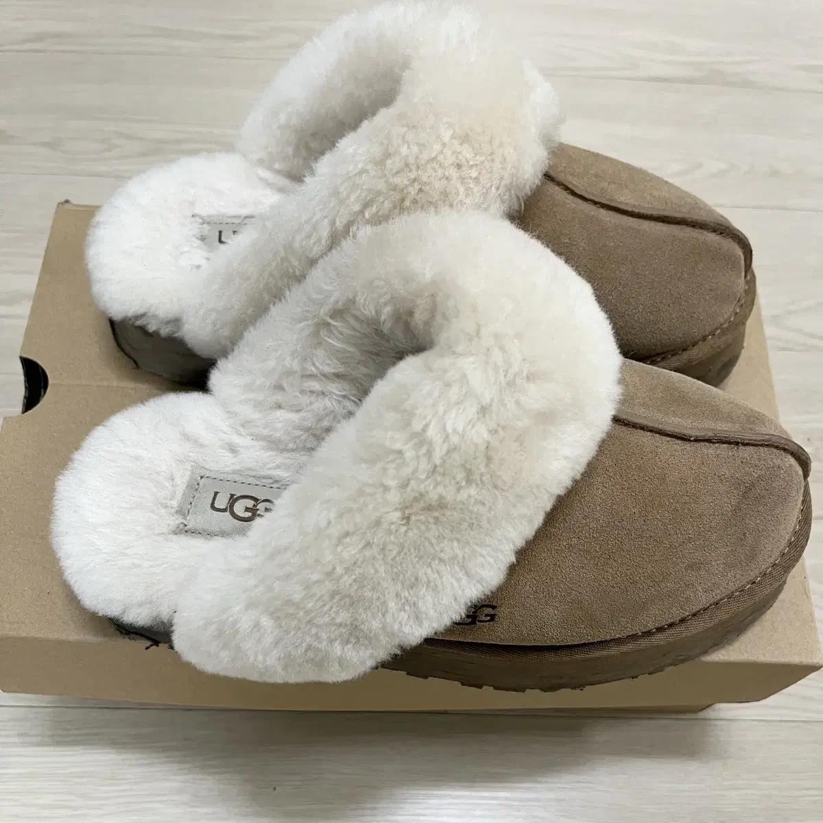 ugg 디스케트 플랫폼 us8