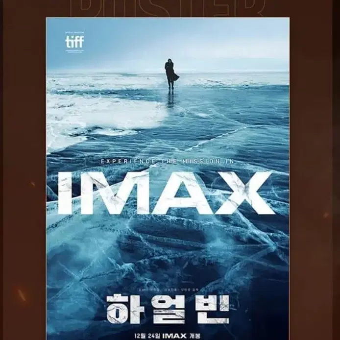 하얼빈 아이맥스 imax 포스터 판매