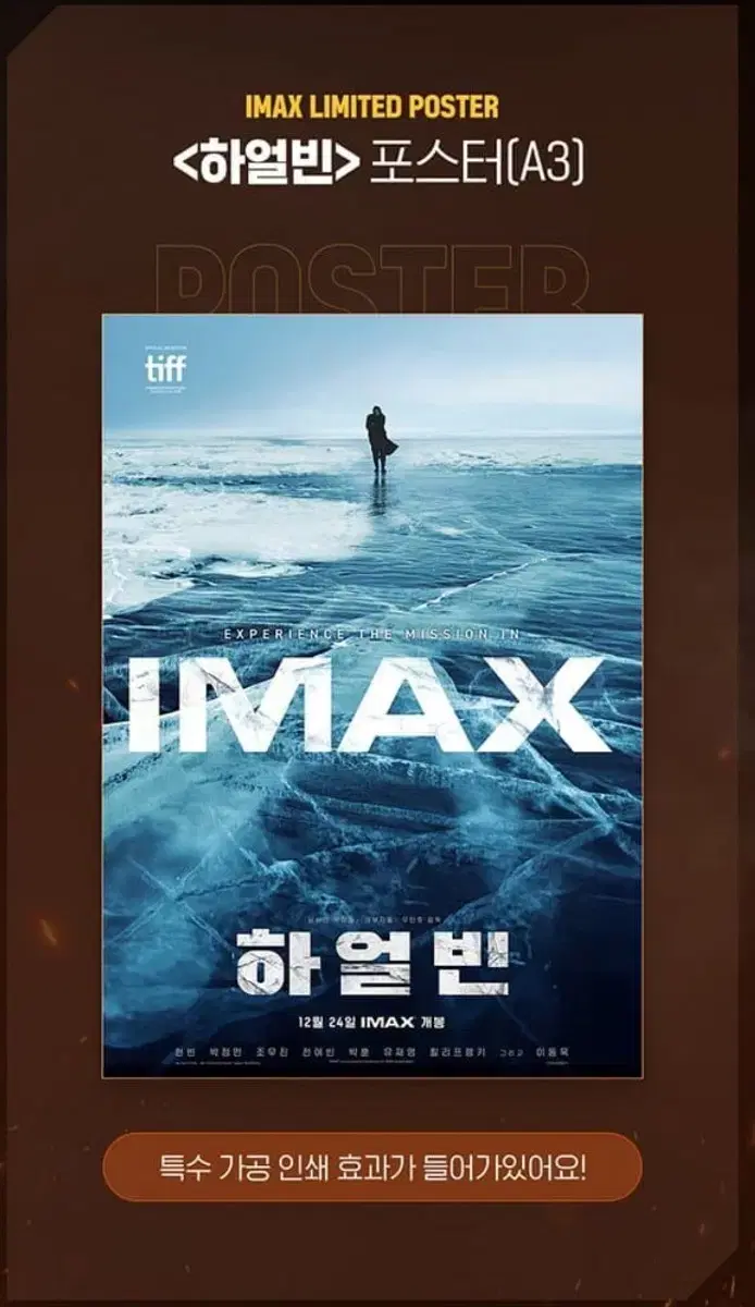 하얼빈 아이맥스 imax 포스터 판매