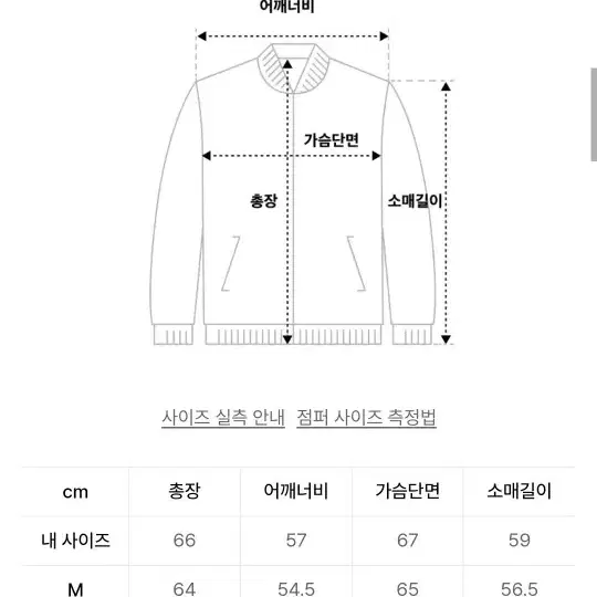 스탠다드에러 블루종