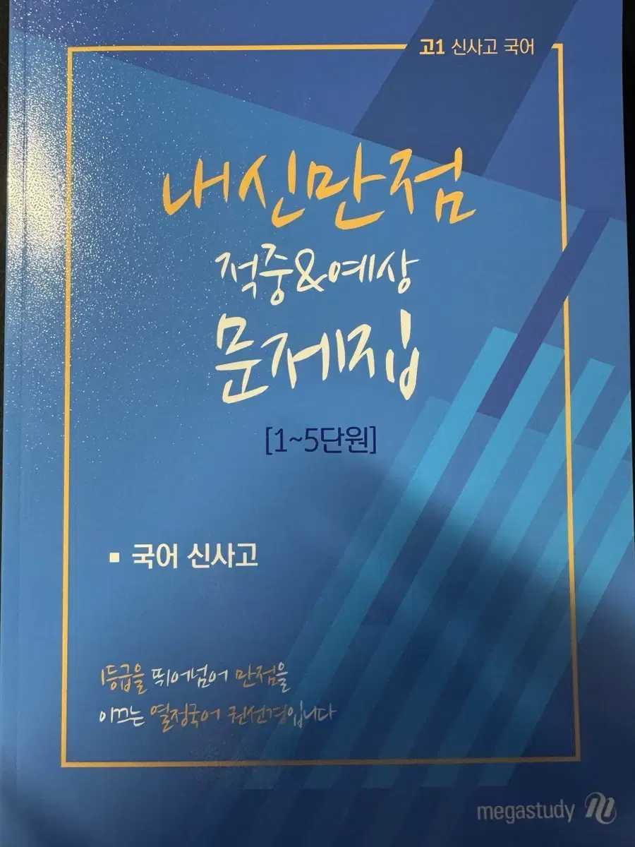 고1 신사고 국어 1~10단원 팝니다