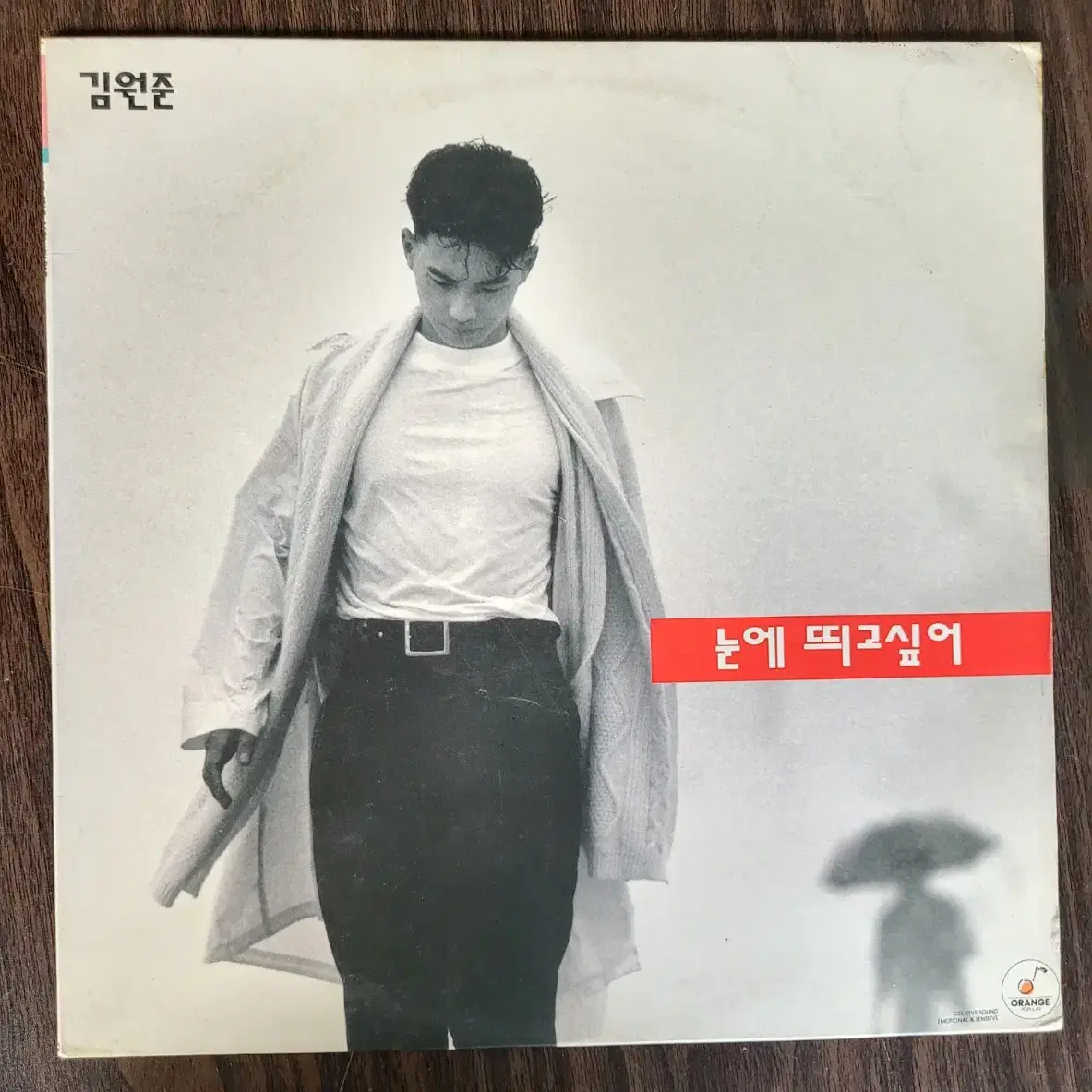 (민트)김원준 1집/눈에 띄고 싶어 / 모두 잠든 후에 LP