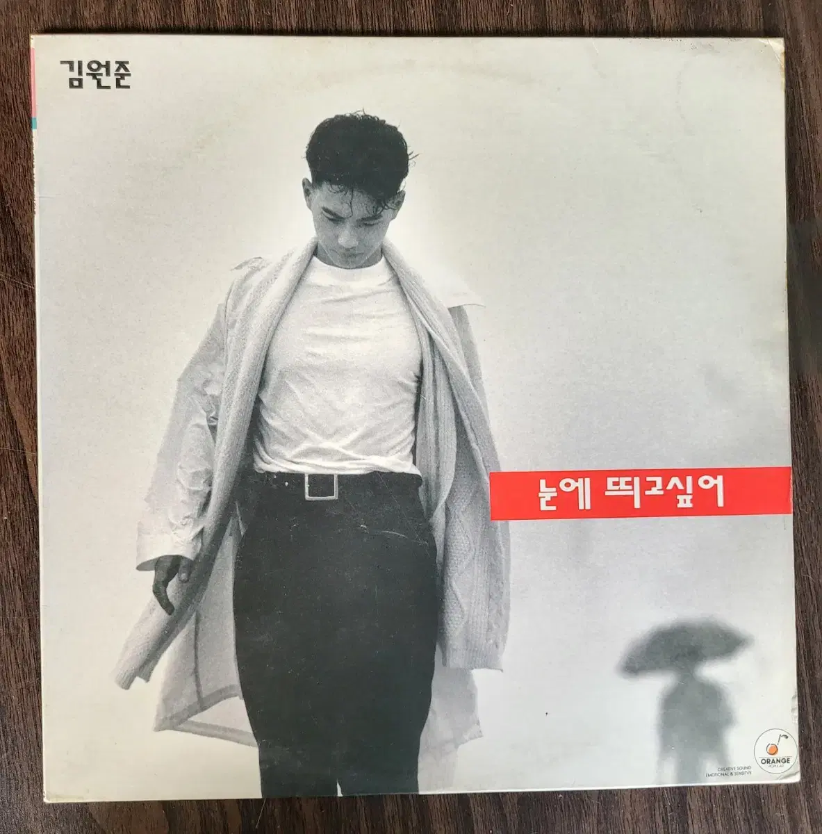 (민트)김원준 1집/눈에 띄고 싶어 / 모두 잠든 후에 LP