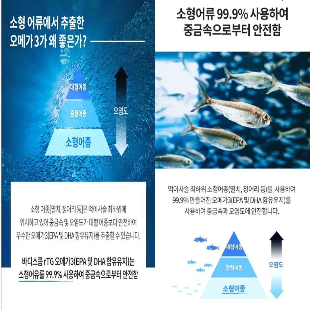 [3개월]청정 캐나다 정식통관 안심 알티지 오메가3 대용량 90캡슐