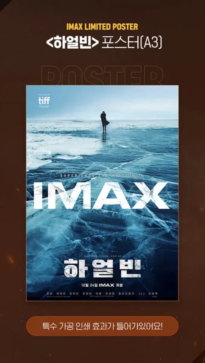 하얼빈 IMAX 포스터