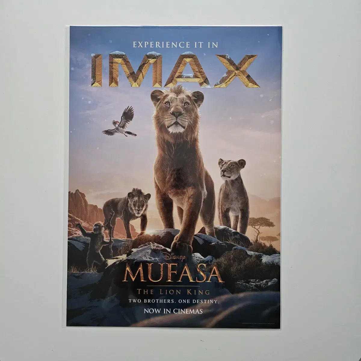 <무파사 라이온 킹> IMAX 아이맥스 포스터