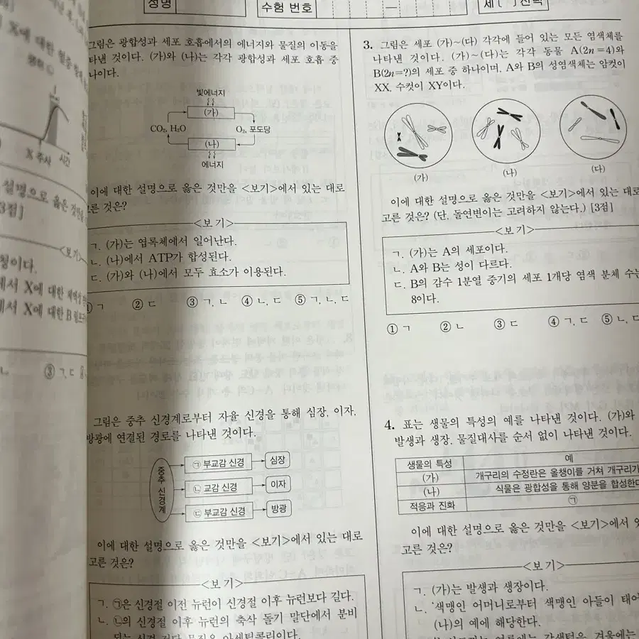 백호 생명 모의고사 비킬러