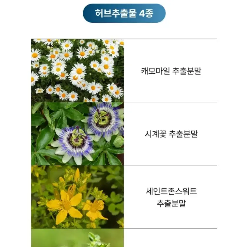 멜라토닌