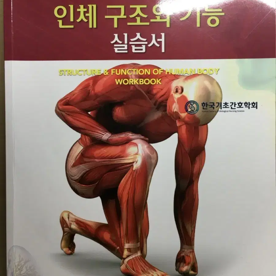 인체해부학 책 팔아요