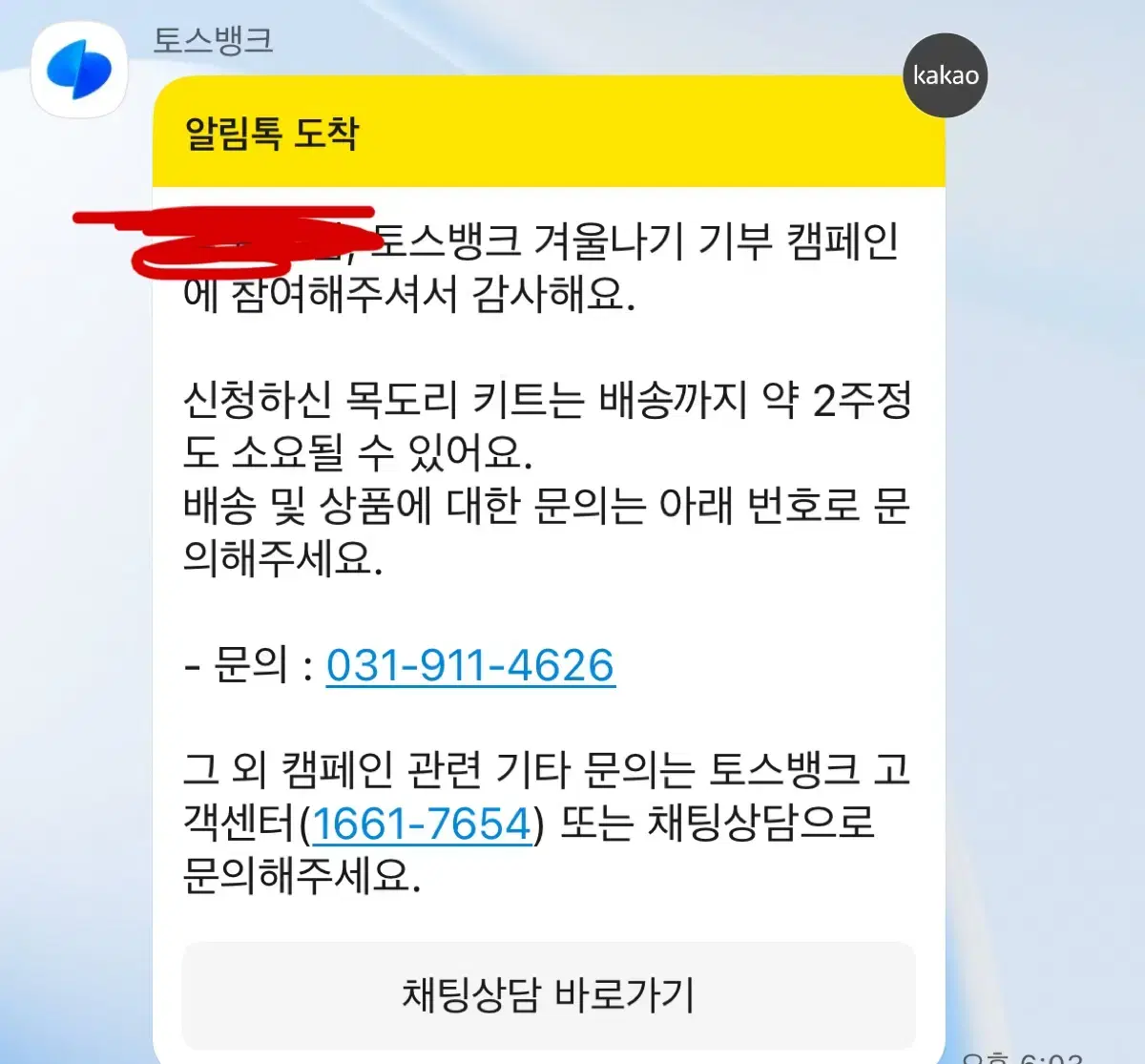 토스 애완용뜨개질 세트