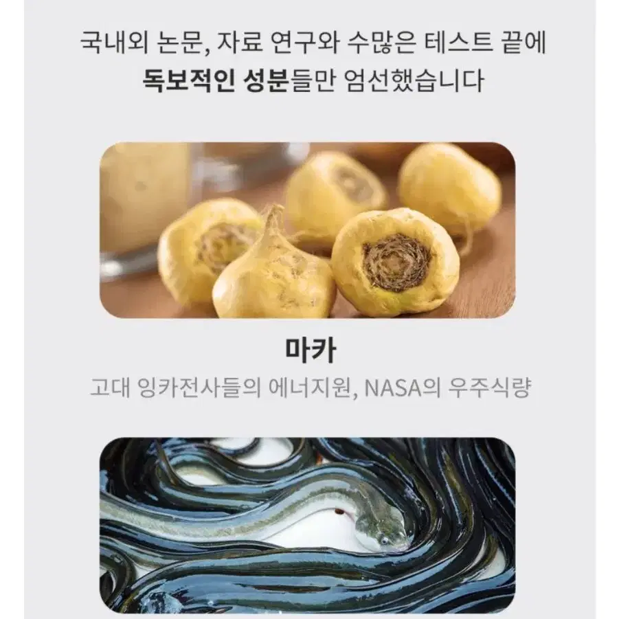 남성활력