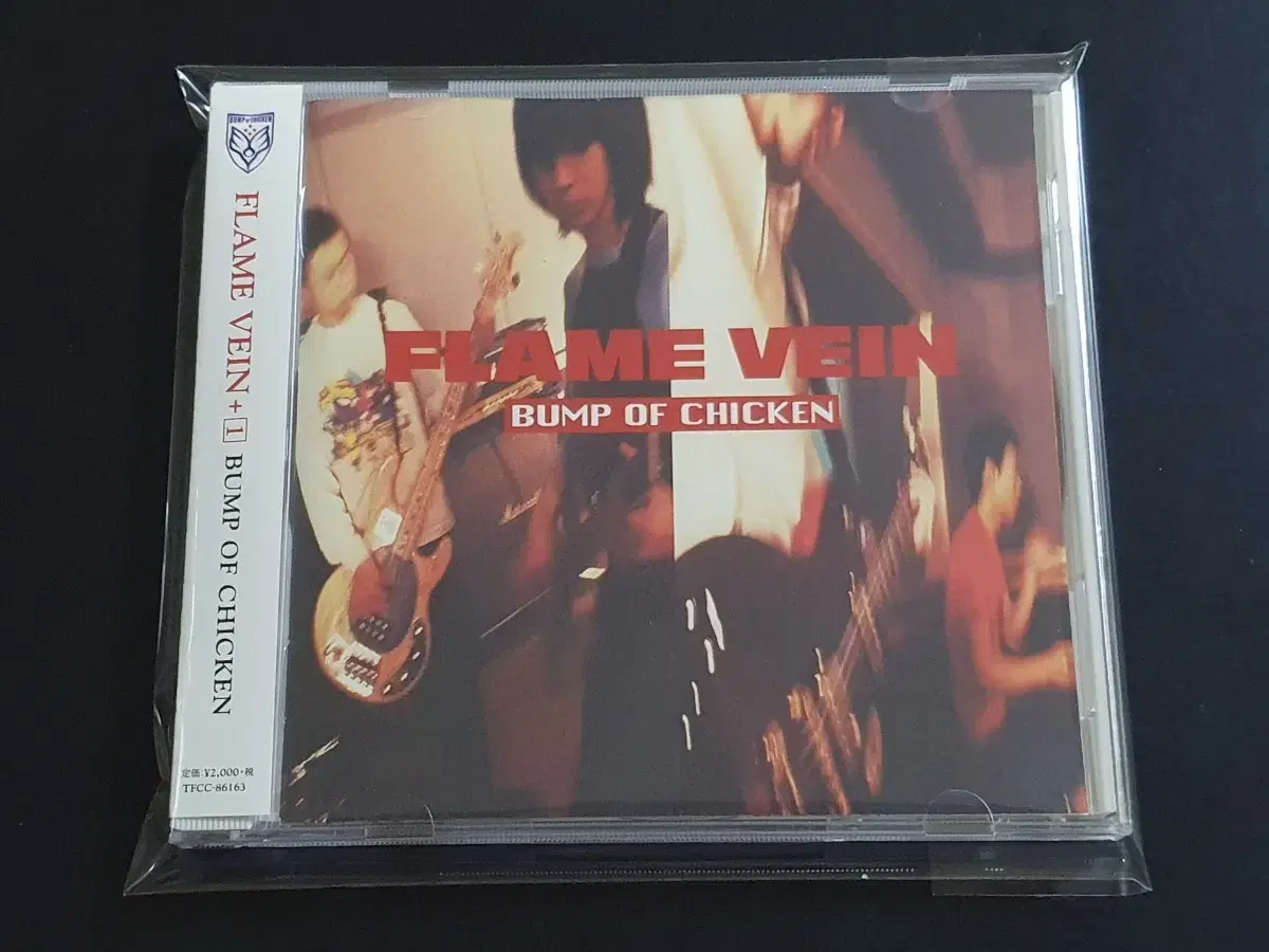 BUMP OF CHICKEN 범프오브치킨 1집 앨범 FLAME VEIN