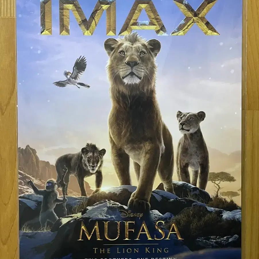 무파사: 라이온 킹 아이맥스 (IMAX) 포스터