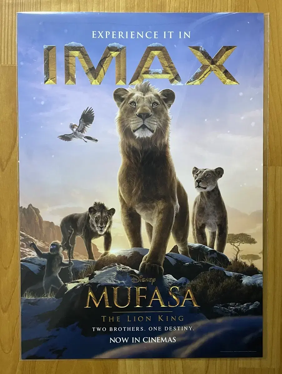 무파사: 라이온 킹 아이맥스 (IMAX) 포스터